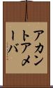 アカントアメーバ Scroll