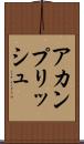 アカンプリッシュ Scroll