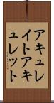 アキュレイト Scroll
