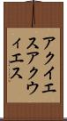 アクイエス Scroll