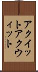 アクイット Scroll