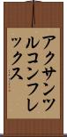 アクサンツルコンフレックス Scroll