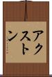 アクストン Scroll