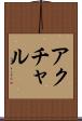 アクチャル Scroll