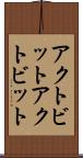 アクトビット Scroll