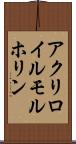 アクリロイルモルホリン Scroll