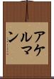 アケルマン Scroll