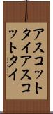 アスコットタイ Scroll