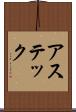 アステック Scroll