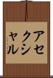 アセクシャル Scroll