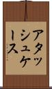 アタッシュケース Scroll
