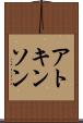 アトキンソン Scroll