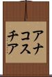 アナコスチア Scroll