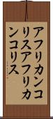 アフリカンコリス Scroll