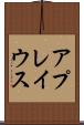 アプレイウス Scroll