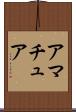 アマチュア Scroll