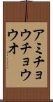 アミチョウチョウウオ Scroll