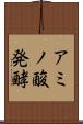 アミノ酸発酵 Scroll