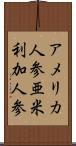 アメリカ人参 Scroll