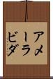 Ameerabida Scroll