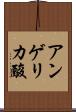 アンゲリカ酸 Scroll
