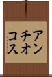 アンチオコス Scroll