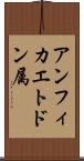 アンフィカエトドン属 Scroll