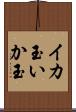 イカ玉 Scroll