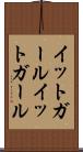 イットガール Scroll