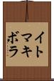 イトマキボラ Scroll