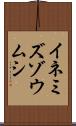 イネミズゾウムシ Scroll