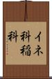 イネ科 Scroll