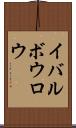 イバルボウロウ Scroll