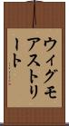 ウィグモアストリート Scroll