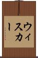 ウィスカー Scroll