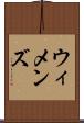 ウィメンズ Scroll