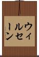 ウィルセーン Scroll