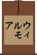 ウィルモア Scroll