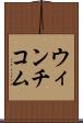 ウィンチコム Scroll