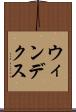ウィンデクス Scroll