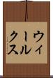 ウィールクス Scroll