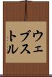 ウェブストル Scroll