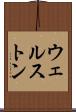 ウェルストン Scroll