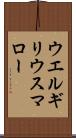 ウエルギリウスマロー Scroll