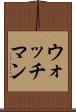 ウォッチマン Scroll