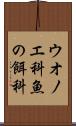 ウオノエ科 Scroll