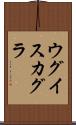 ウグイスカグラ Scroll