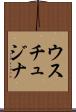 ウスチュジナ Scroll