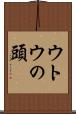 ウトウの頭 Scroll