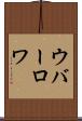 ウバーロワ Scroll